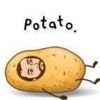 PotatoHead44