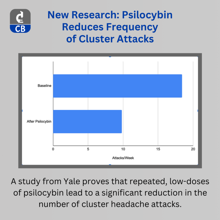 Psilocybin Research Study Graph.png