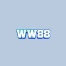 ww881pink