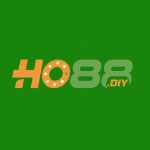 ho88diy1