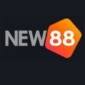 vnew88net5