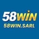 58winsarl