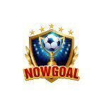 nowgoal29dev