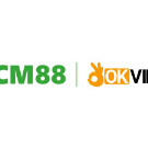 ccm88seocom