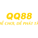qq88today1