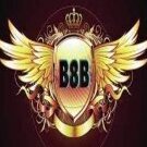 b8b1org