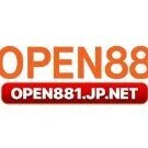 open881jpnet