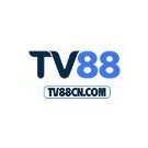 tv88cncom1