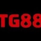 stg88com