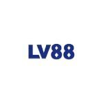 lv88ycom