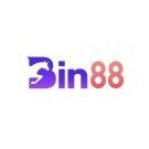 bin88digital