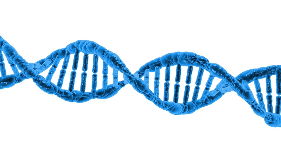 blue DNA strand