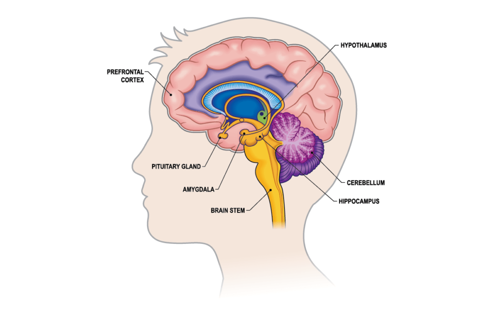 What Are Cluster Headaches? Clusterbusters