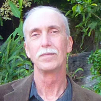Bob Wold